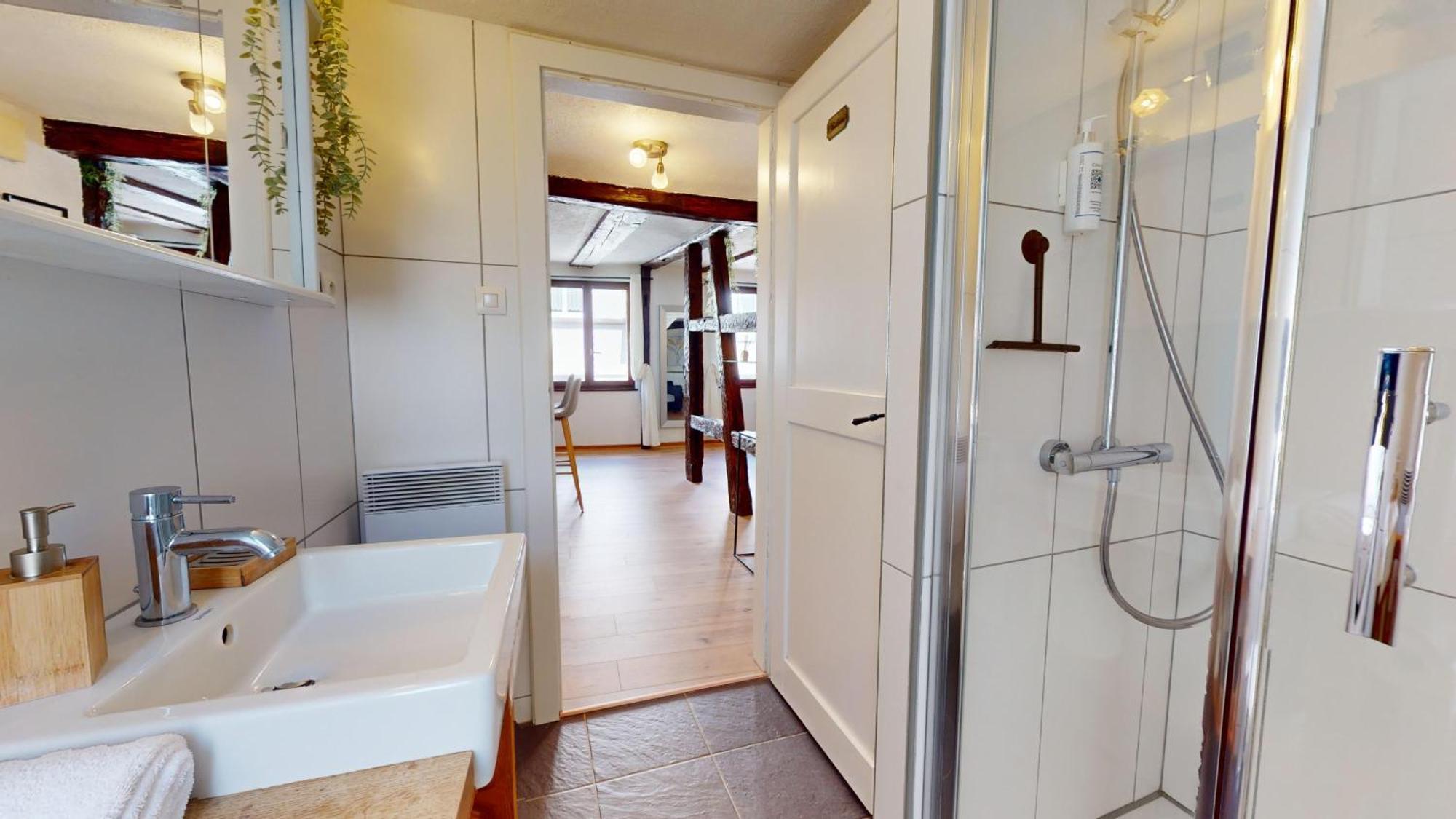 Au Petit Vauban 2 Chambres & Parking Colmar Exterior photo